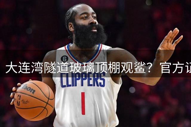 大连湾隧道玻璃顶棚观鲨？官方证实纯属虚构