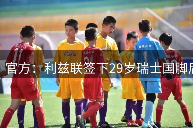 官方：利兹联签下29岁瑞士国脚后卫尼克·埃尔韦迪