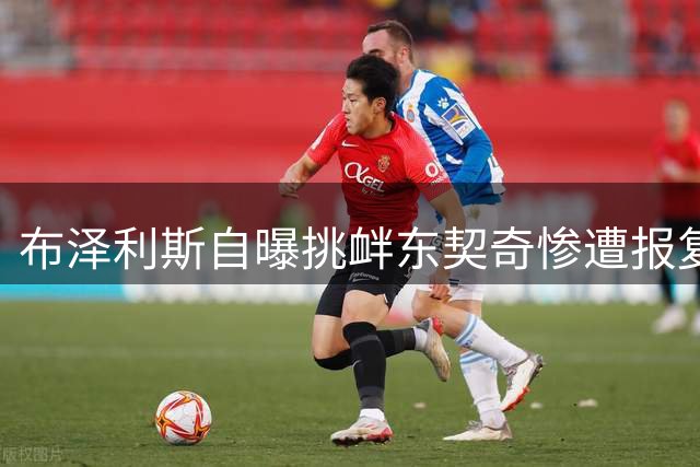 布泽利斯自曝挑衅东契奇惨遭报复 独行侠核心狂砍51分教做人