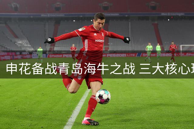 申花备战青岛海牛之战 三大核心球员状态成关键